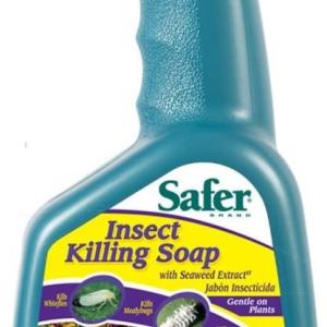 Safer Insect Killing Soap With Seaweed Extract Multiple Insects Spray 32 Oz