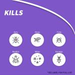 Bonide Ant, Flea & Tick Killer Granules, 10 lbs. Rey-to-Use Pellets for Long Lasting Bug Control in Lawn and Garden