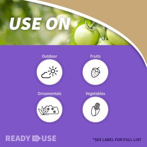 Bonide Captain Jack's Tomato & Vegetable Spray, 32 oz Rey-to-Use Spray, Insect & Disease Control for Organic Gardening (Pack of 2)