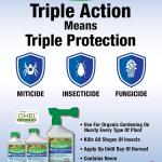 Fertilome (10251) Triple Action Plus RTU (32 oz)