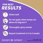 Bonide Captain Jack's Lawnweed Brew, 32 oz Rey-to-Spray, Fast-Acting Formula Controls Weeds, Moss, Algae, Lichens & Disease