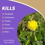 Bonide Captain Jack's Lawnweed Brew, 32 oz Rey-to-Spray, Fast-Acting Formula Controls Weeds, Moss, Algae, Lichens & Disease