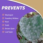 Bonide Captain Jack's Tomato & Vegetable Spray, 32 oz Rey-to-Use Spray, Insect & Disease Control for Organic Gardening (Pack of 2)